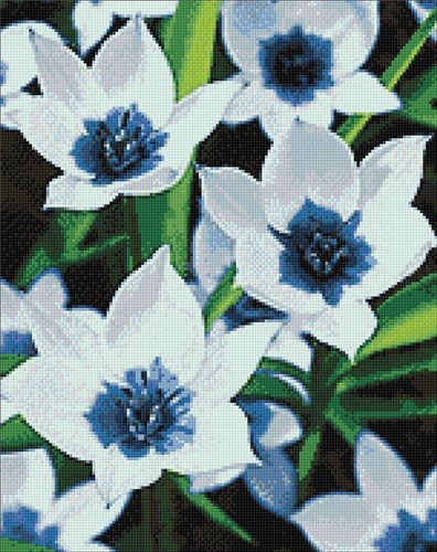 Blue Eye Tulips CS034 Diamond Art Kit