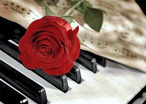 Rose Music WD053 14.9 x 10.6 inches Wizardi Diamond Painting Kit