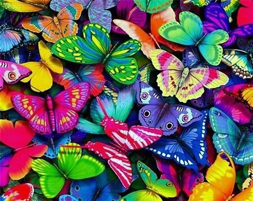 Rainbow Butterflies WD057 18.9 x 14.9 inches Wizardi Diamond Painting Kit