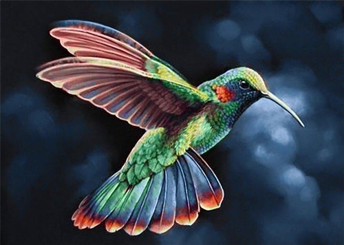 Tropic Bird CS058 15.8 x 11.8 inches Crafting Spark Diamond Painting Kit