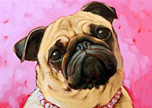 Pug WD182 14.9 x 10.6 inches