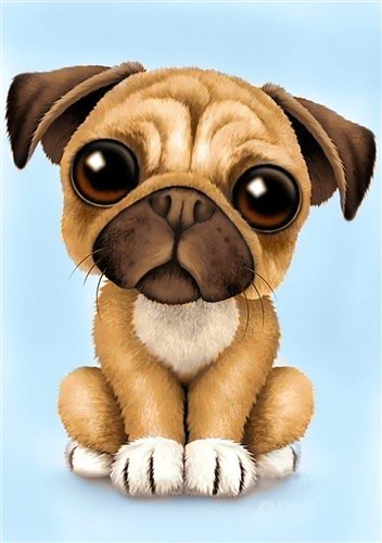 Little Pug WD190 7.9 x 11.8 inches