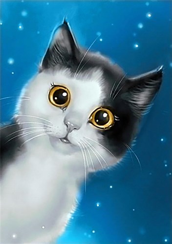 Curiosity WD195 7.9 x 11.8 inches Wizardi Diamond Painting Kit