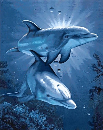 Dolphins' Dating WD222 14.9 x 18.9 inches Wizardi Diamond Painting Kit