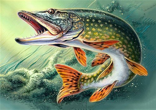 Pike WD225 14.9 x 10.6 inches Wizardi Diamond Painting Kit