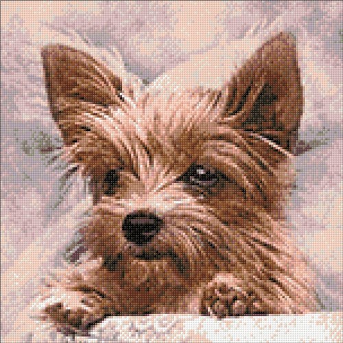 Fluffy Friend WD2307 15.8 x 15.8 inches  Diamond Painting Kit