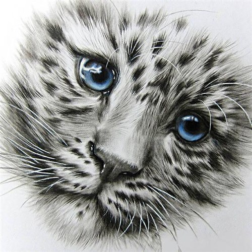 Little Predator WD2342 14.9 x 14.9 inches Wizardi Diamond Painting Kit