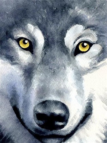 Wolf Look WD2361 5.9 x 7.9 inches Wizardi Diamond Painting Kit