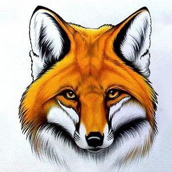 Red Fox WD2375 7.9 x 7.9 inches