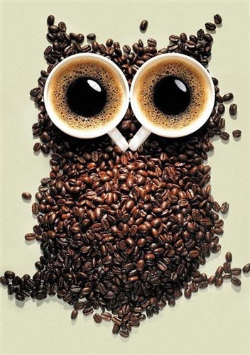 Coffee Owl WD242 7.9 x 11.8 inches Wizardi Diamond Painting Kit