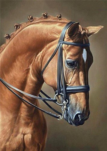 Horse Jumping WD256 10.6 x 14.9 inches Wizardi Diamond Painting Kit