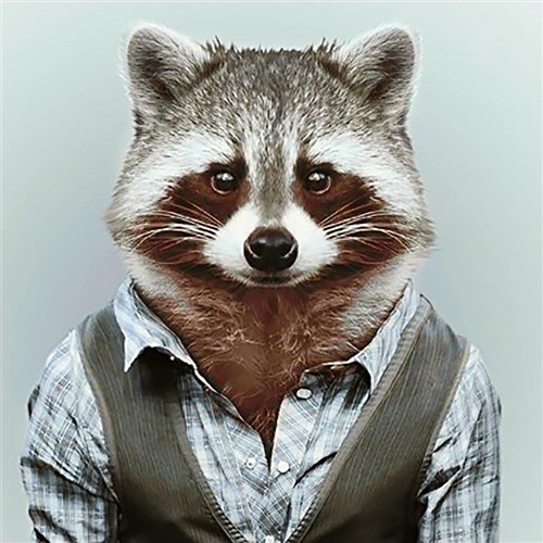 Mr Raccoon WD257 14.9 x 14.9 inches Wizardi Diamond Painting Kit