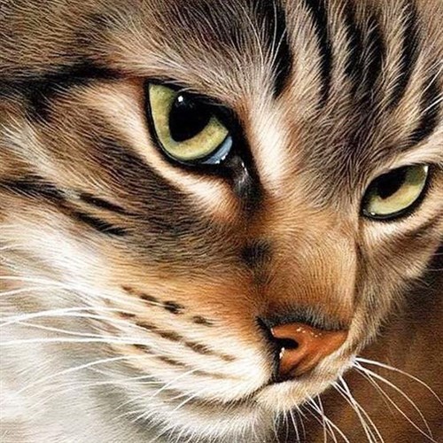 Mysterious Cat CS282 7.9 x 7.9 inches Crafting Spark Diamond Painting Kit