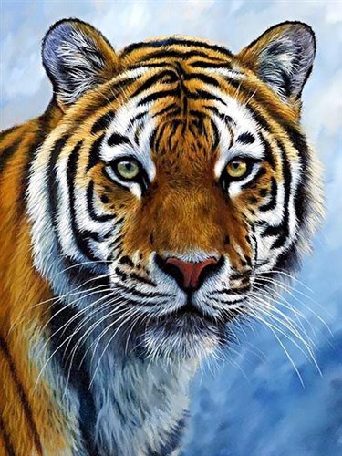 Tiger WD309 11.8 x 15.7 inches Wizardi Diamond Painting Kit