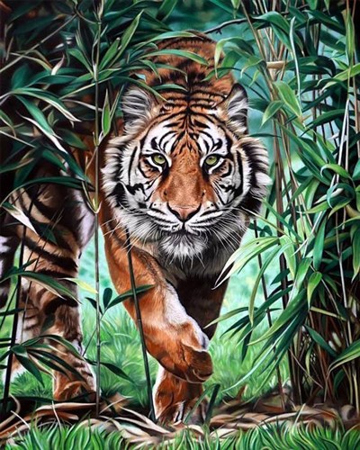 Dangerous Tiger WD310 15.7 x 19.7 inches Wizardi Diamond Painting Kit