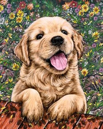 Cute Puppy WD312 15.7 x 19.7 inches