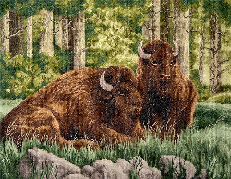 Counted Cross Stitch Kit Bison