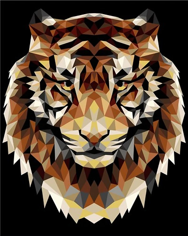 Paint By Numbers Tiger