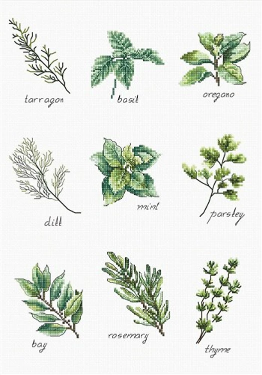 Spices & Herbs Counted Cross-Stitch Kit
