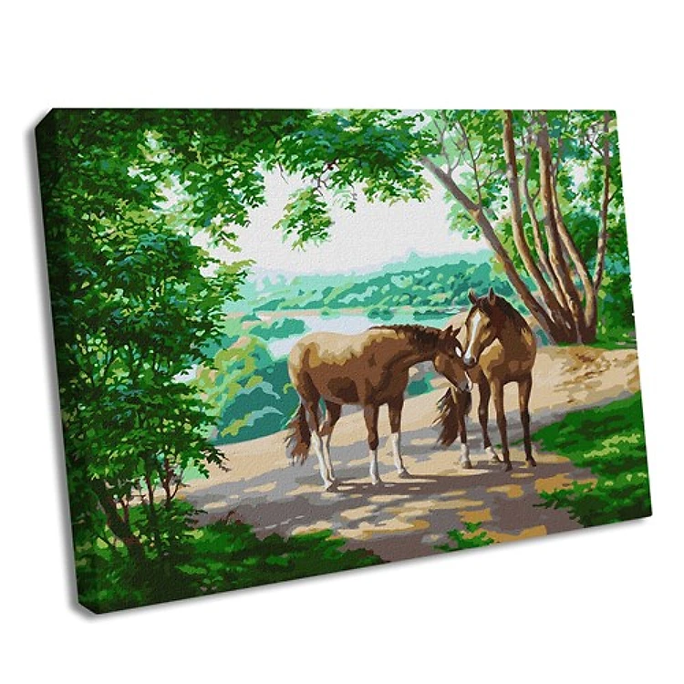 On A Walk Paint By Numbers Kit