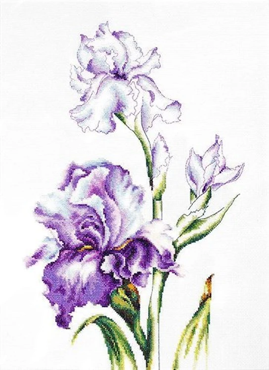Irises Counted Cross-Stitch Kit