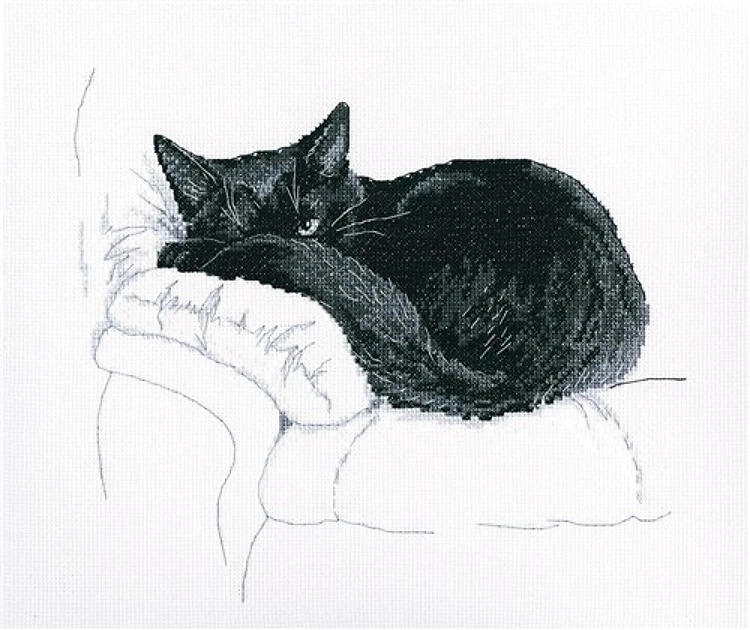 Among Black Cats Cross Stitch Kit