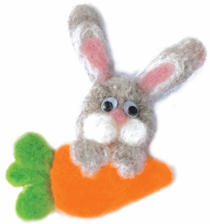 Fan Of Carrot Felting Kit