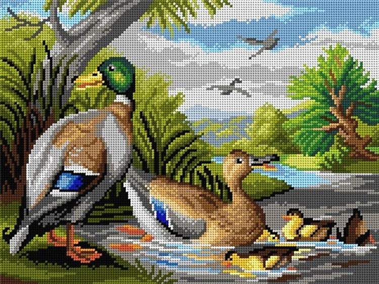 Ducks In A River Needlepoint Canvas For Halfstitch W/O Yarn