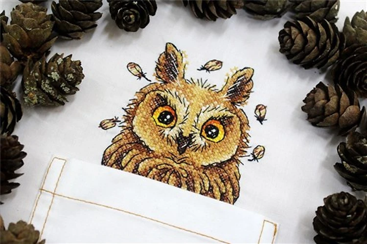 Curious Owl Cross Stitch On Clothes