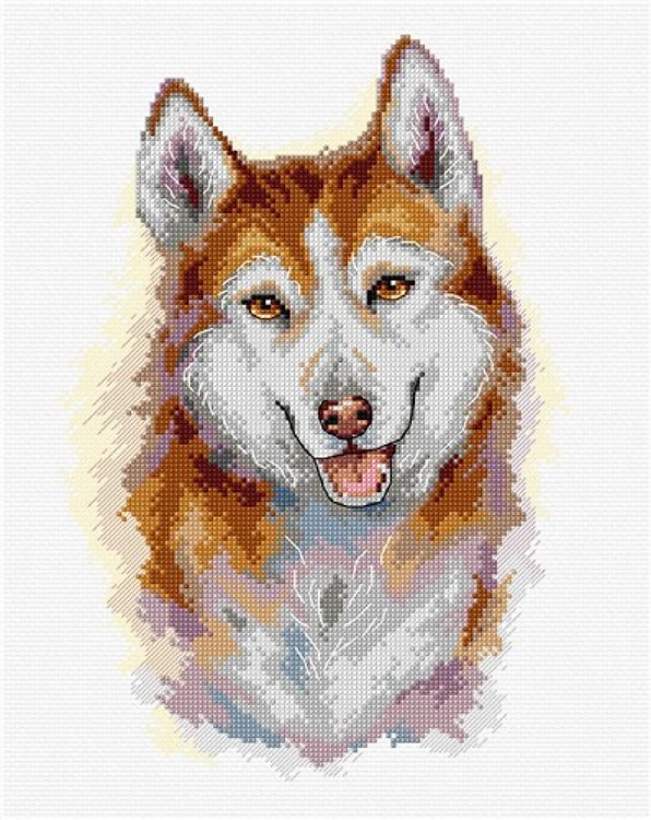 Husky Cross-Stitch Kit