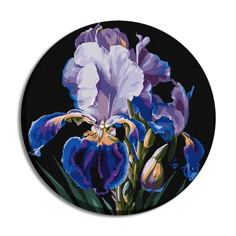Delicate irises Paint By Numbers Kit