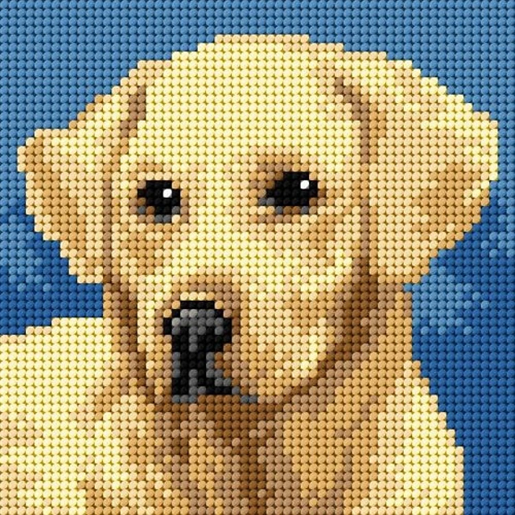 Labrador Retriever Needlepoint Canvas For Halfstitch W/O Yarn