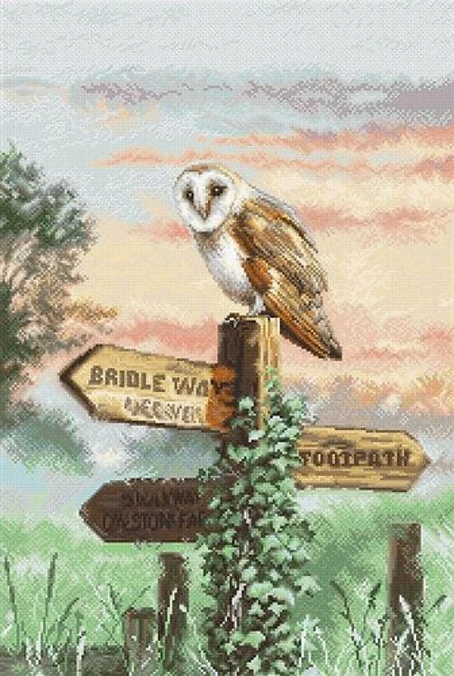 Barn Owl Cross Stitch Kit