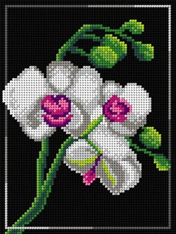 Needlepoint Canvas For Halfstitch W/O Yarn Orchid