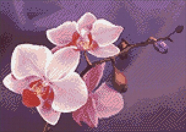 Branch Of Orchids Diamond Painting Kit