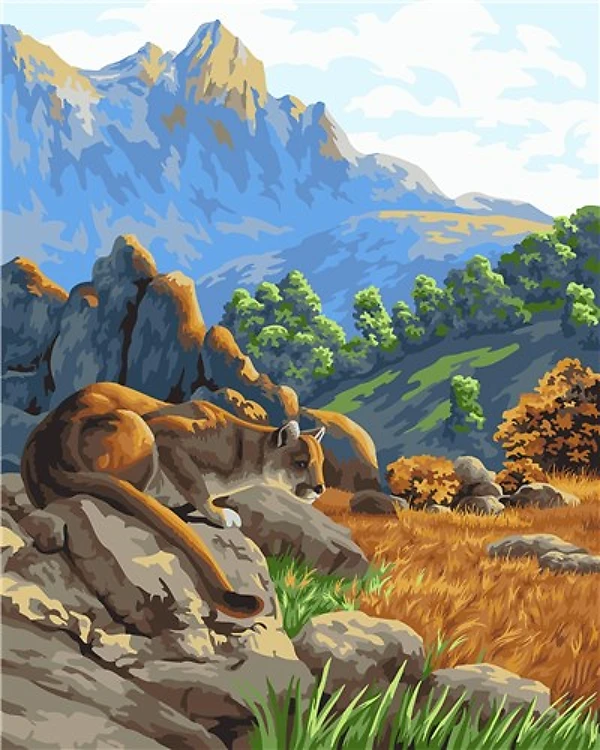 Paint By Numbers Kit Mountain Road