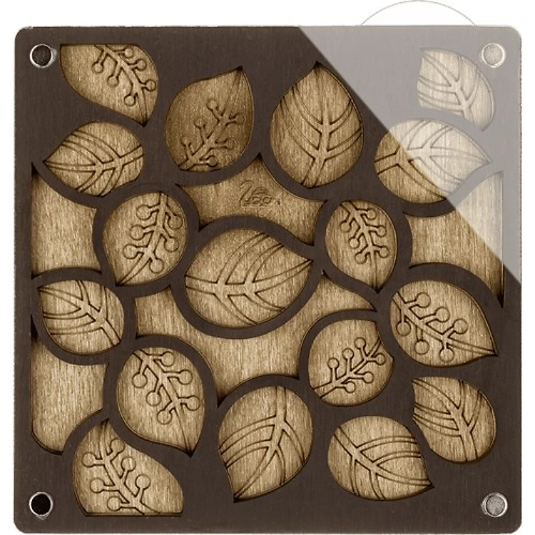 Bead Organizer With Transparent Cover