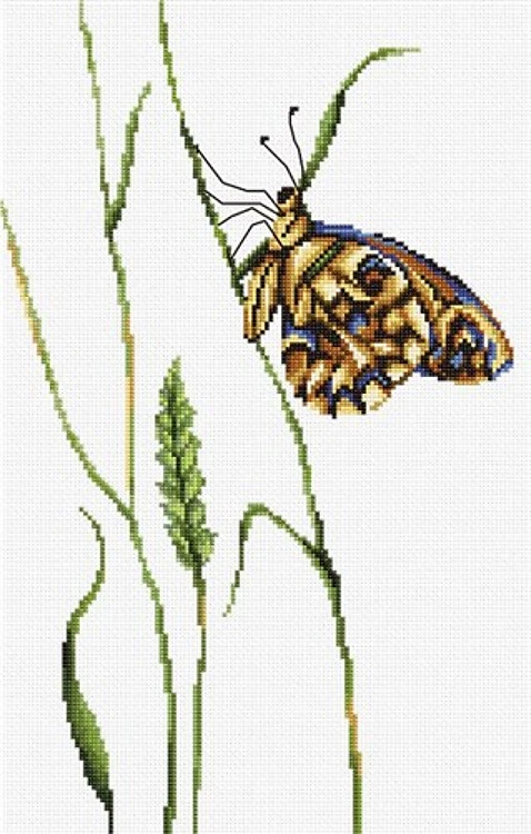 The Spirit Of Summer Cross Stitch Kit