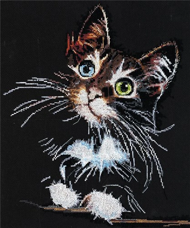 Cross Stitch Kit Fluffy Kitten