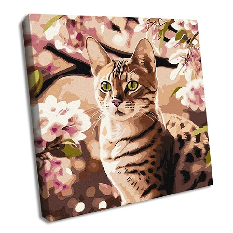 Paint By Numbers Kit Kitten In The Garden