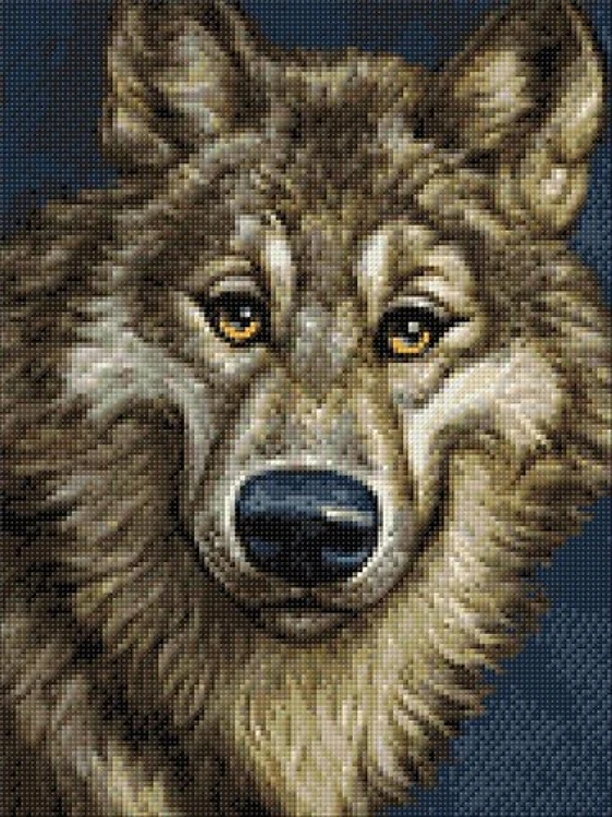 Wolf Diamond Painting Kit
