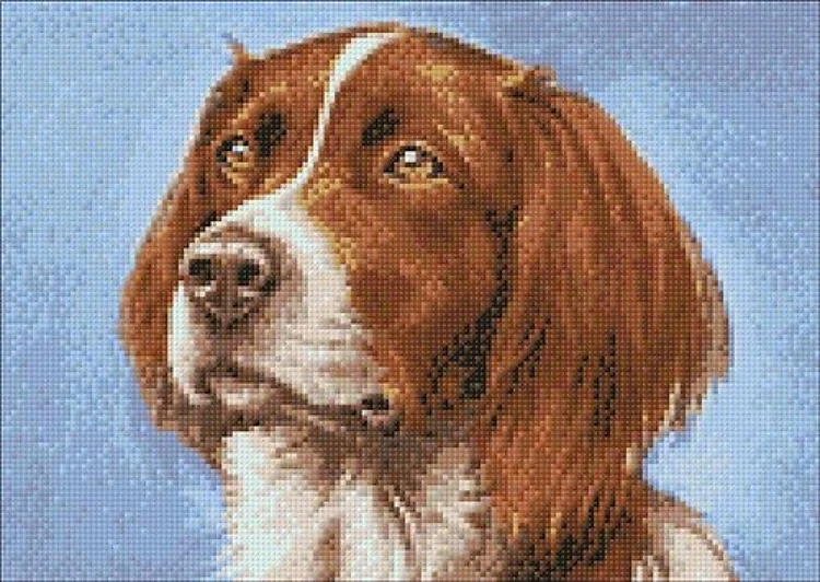 Setter Diamond Painting Kit