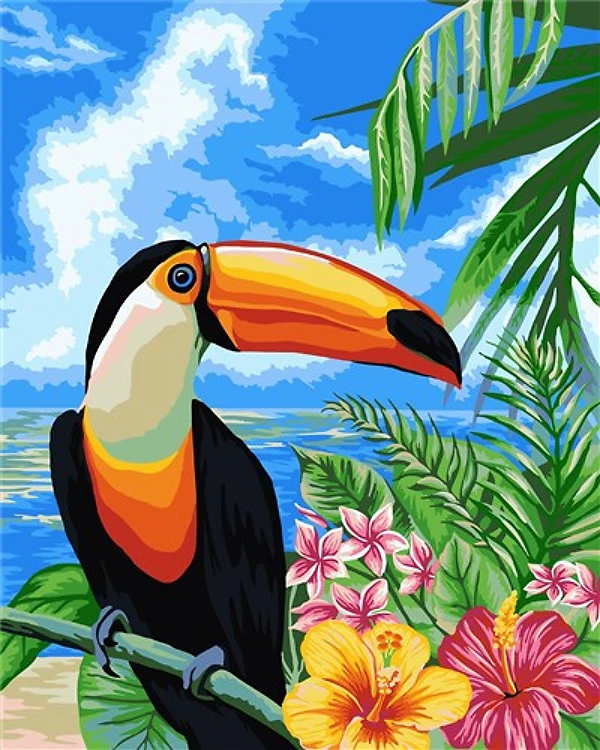 Paint By Numbers Kit Toucan