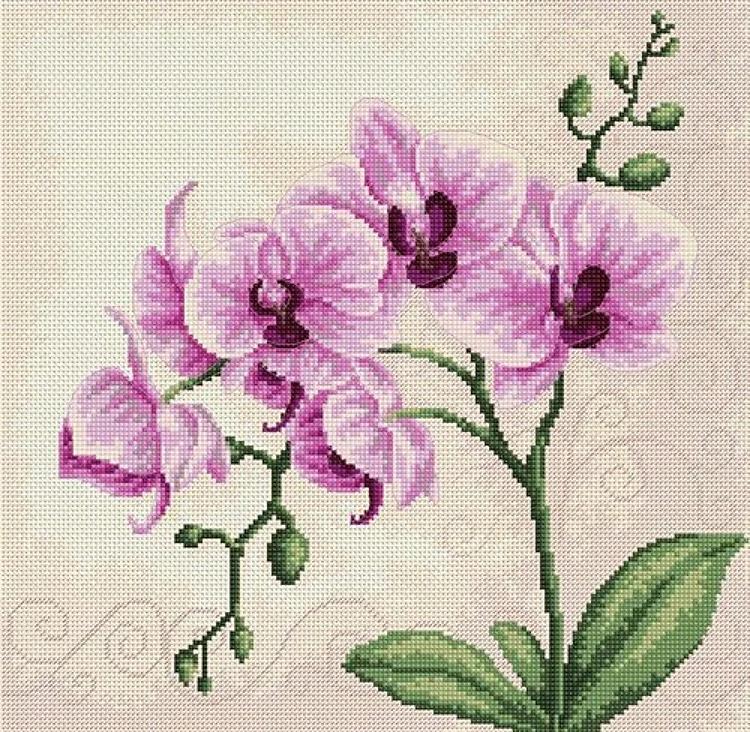 Orchid Cross Stitch Kit