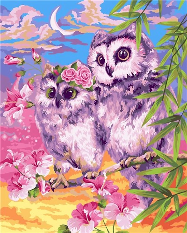 Paint By Numers Kit - Tender Owls