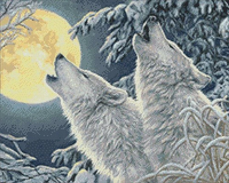 Two Wolves Diamond Painting Kit