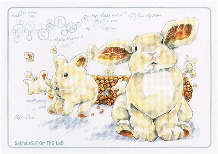 Hop-corn Cross Stitch Kit On Printed Background