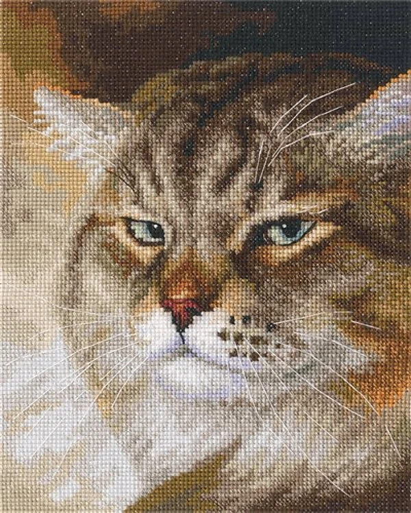 Sly And Extremely Beautiful Cross Stitch Kit