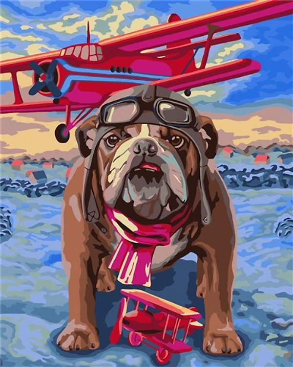 Paint By Numbers Kit - Pilot