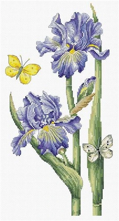 May Iris Cross Stitch Kit